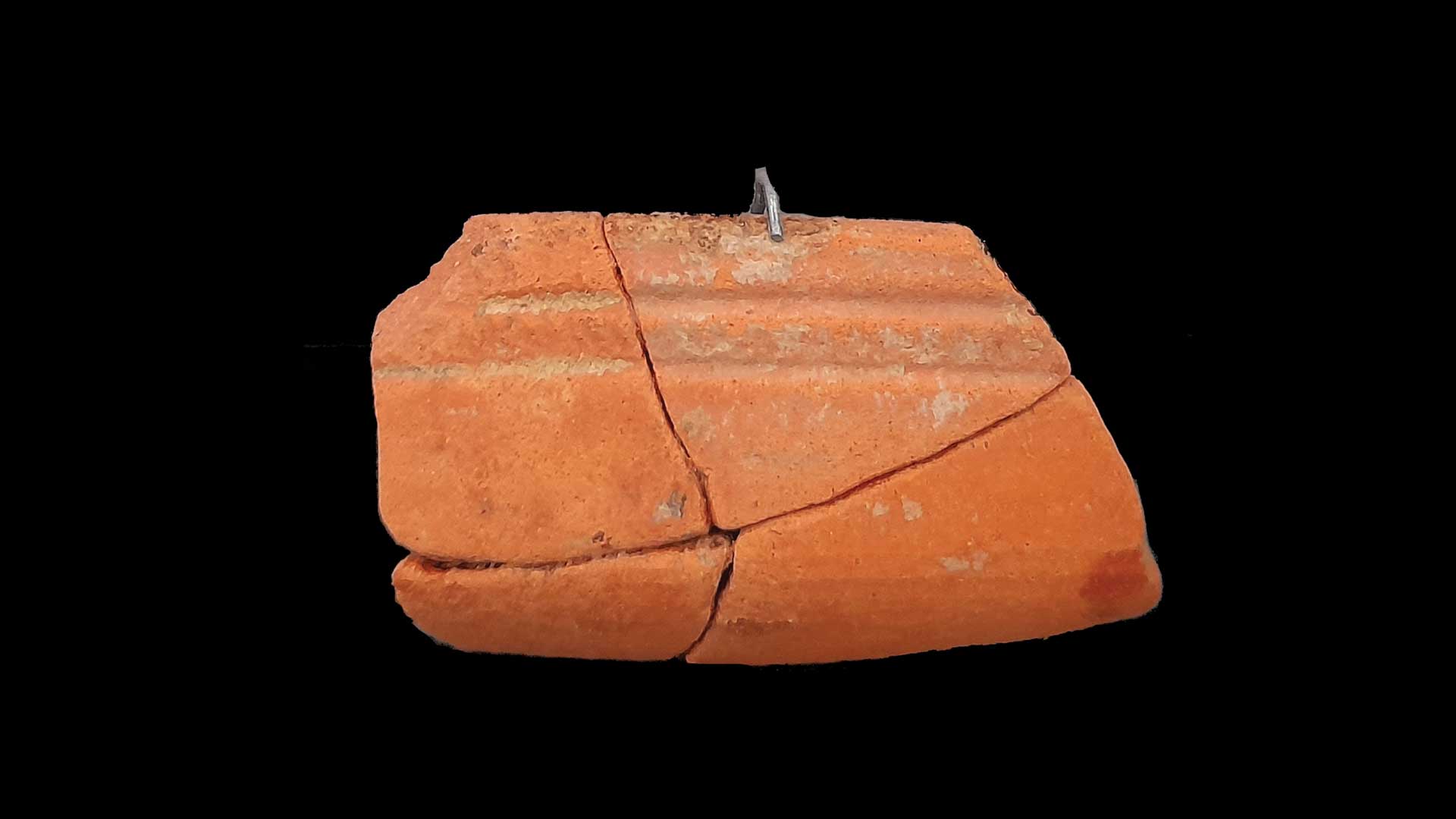 Frammento di scodella in "terra sigillata chiara"