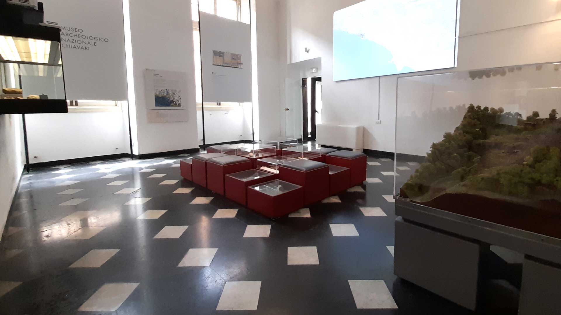 Visita